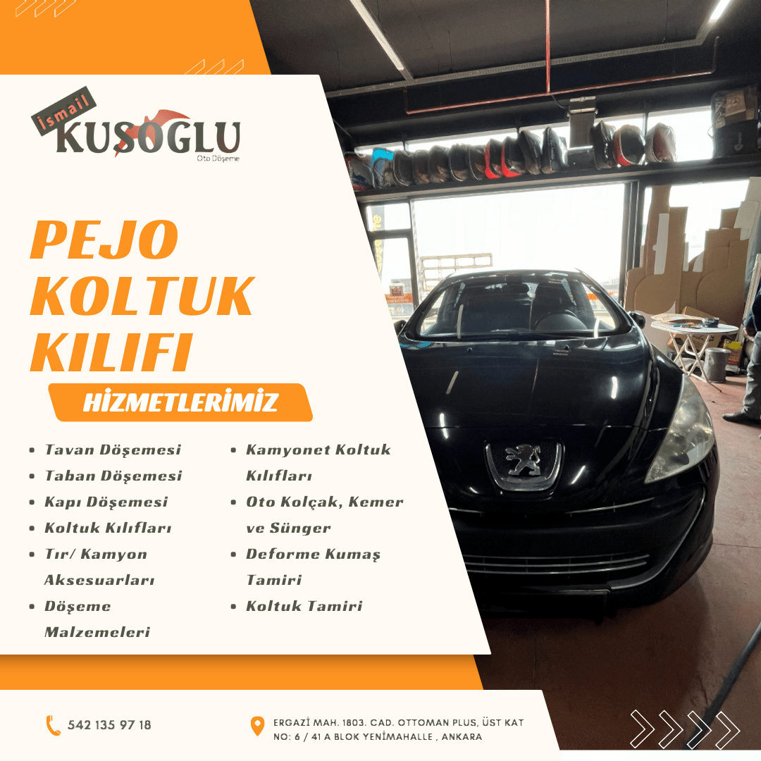 Pejo koltuk kılıfı